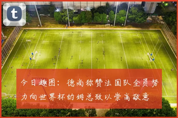 今日趣图：德尚称赞法国队全员努力向世界杯的姆总致以崇高敬意